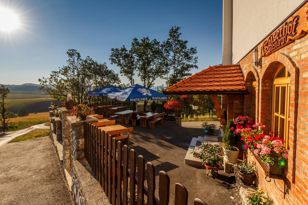 Guest House Vila Djokic زلاتيبور المظهر الخارجي الصورة