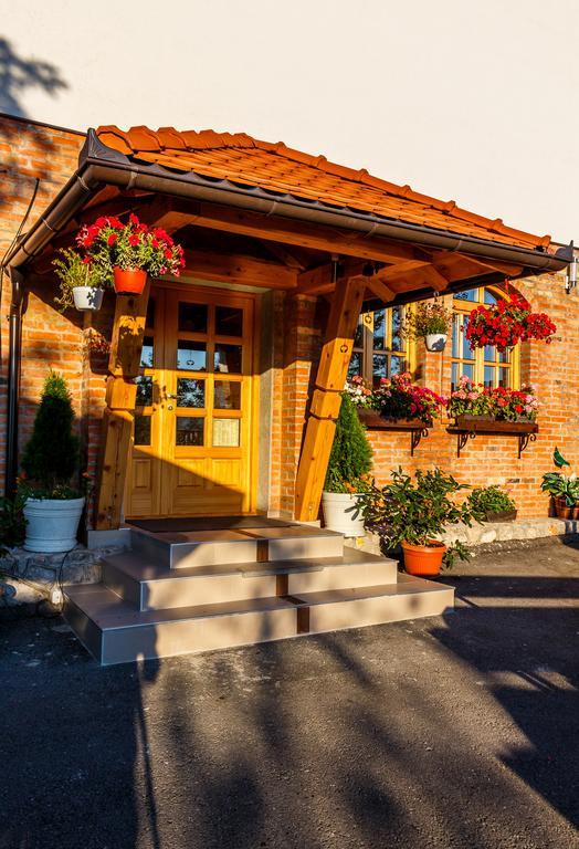 Guest House Vila Djokic زلاتيبور المظهر الخارجي الصورة